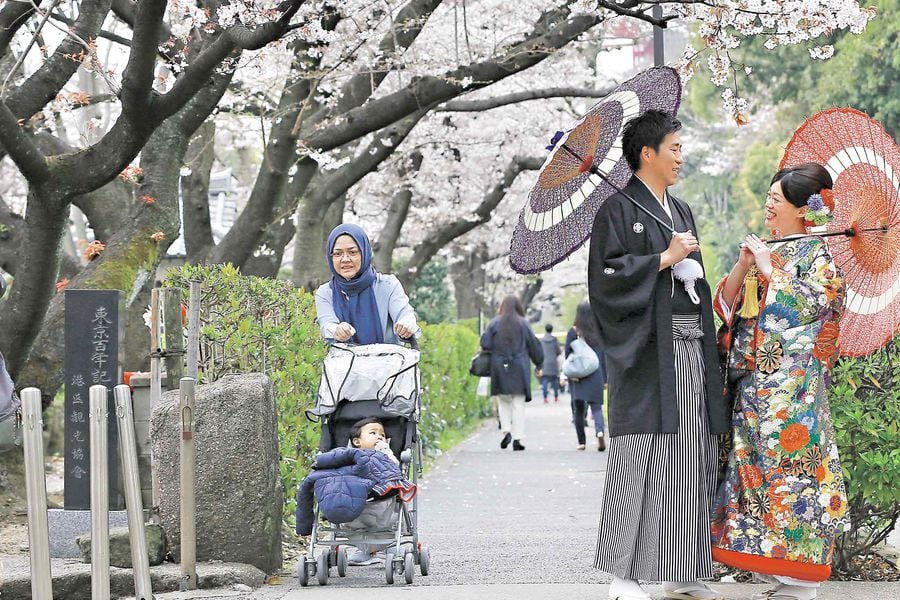 Kimono Japonés Tradicional Para Mujer I Sakura Japón – Sakura Japon