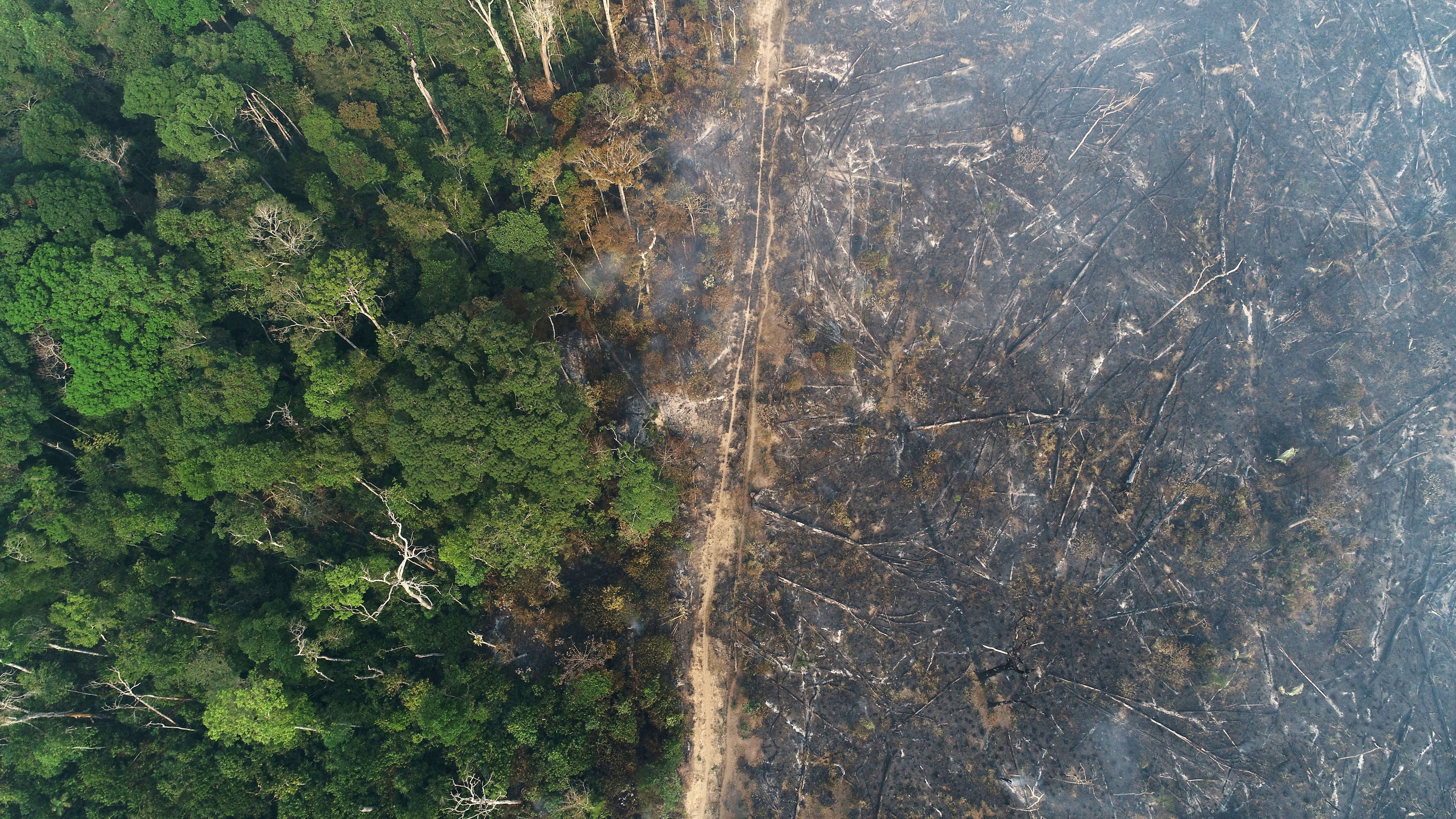 FILE PHOTO: General view of a tract of the Amazon jungle which burns as it is cleared by loggers and farmers near Apui