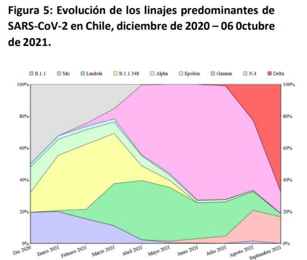 informe epidemiologico 4 de octubre