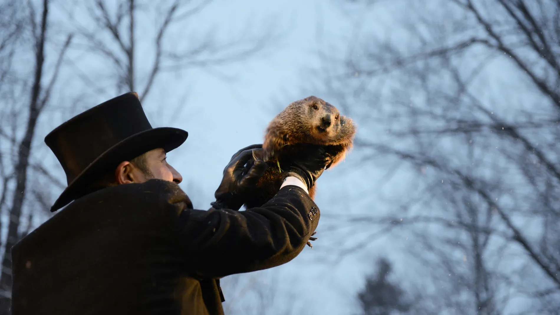 Día de la Marmota. Foto: Reuters