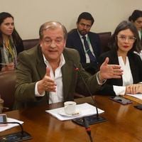 “Declaraciones que fueron formuladas a título personal”: TVN sale al paso ante polémica por dichos de Francisco Vidal 