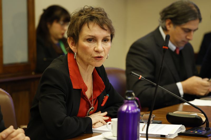 La ministra Carolina Tohá en la comisión de Seguridad de la Cámara de Diputados.