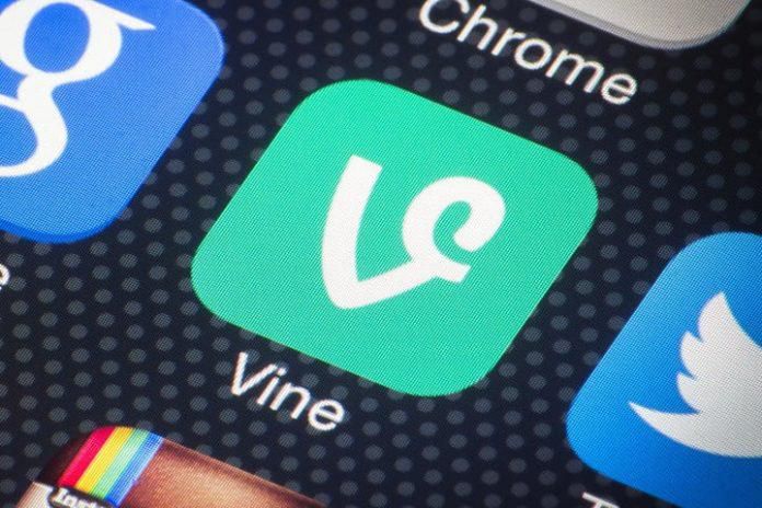 Vine Social Network