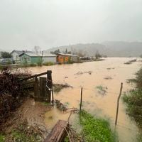 Realizan evacuación en Arauco por desborde del río Pichilo