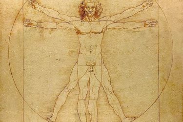 Hombre de Vitruvio (1490)