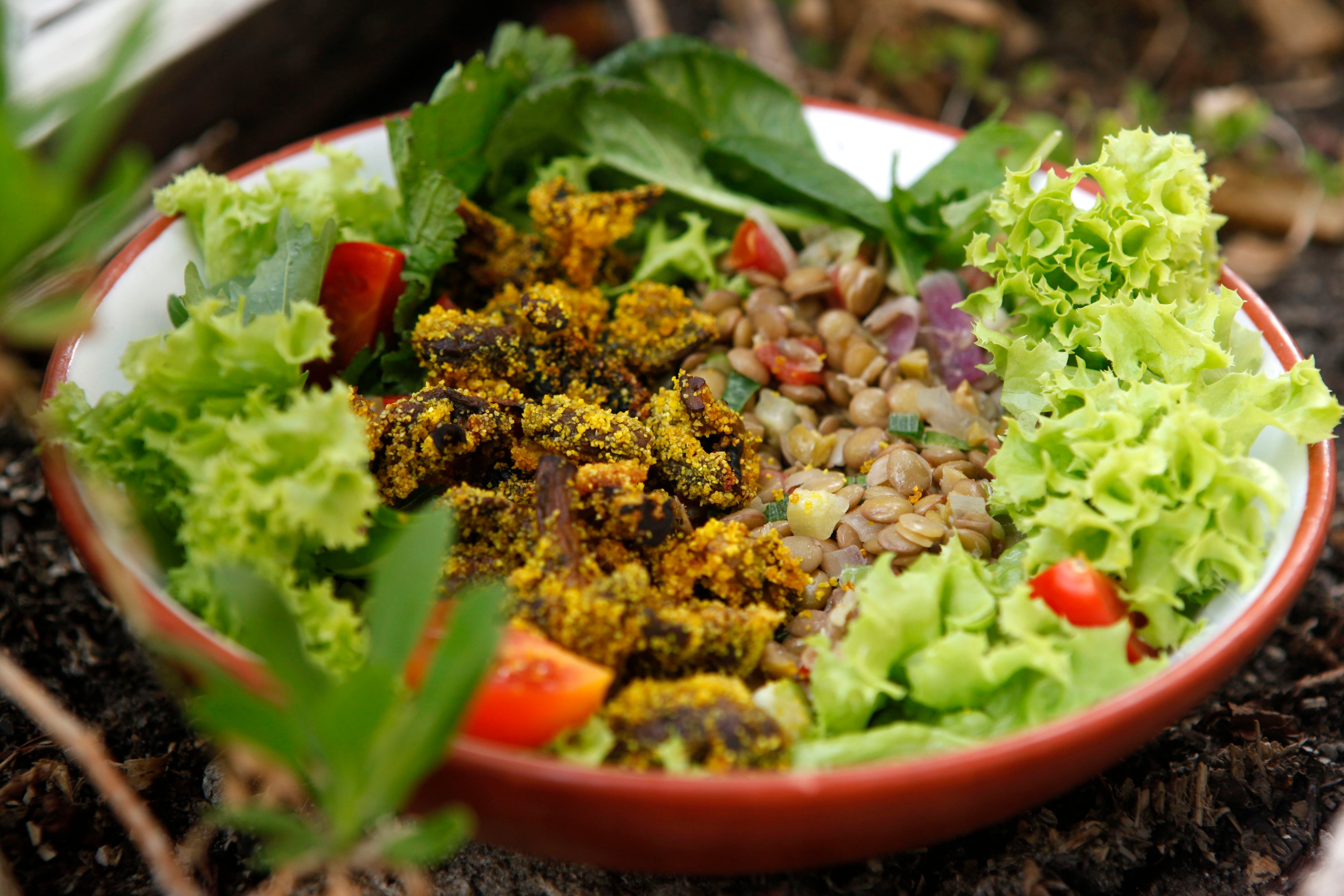 tabule de lentejas