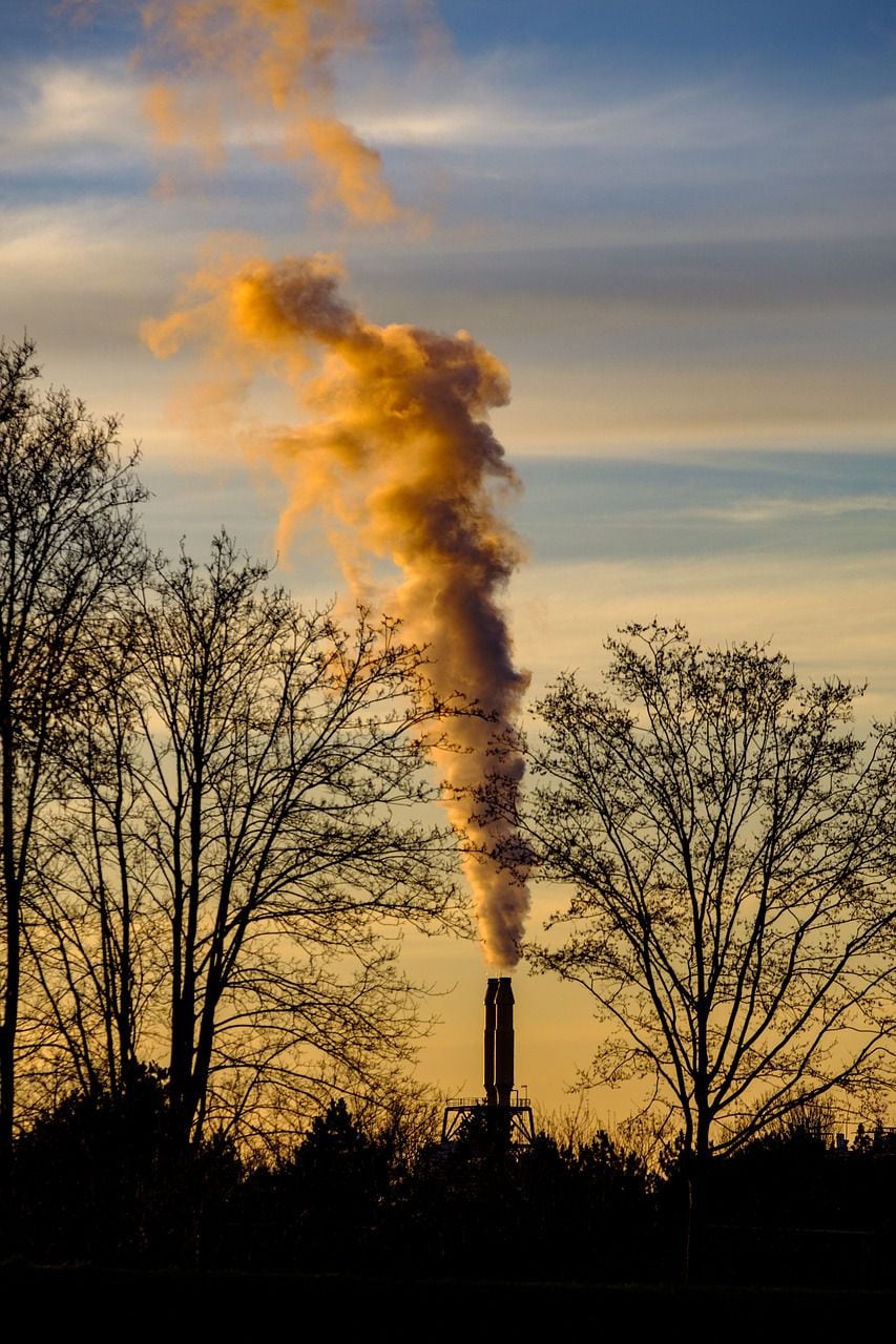 Por primera vez Chile tiene una ley contra el cambio climático: ¿en qué consiste esta norma?