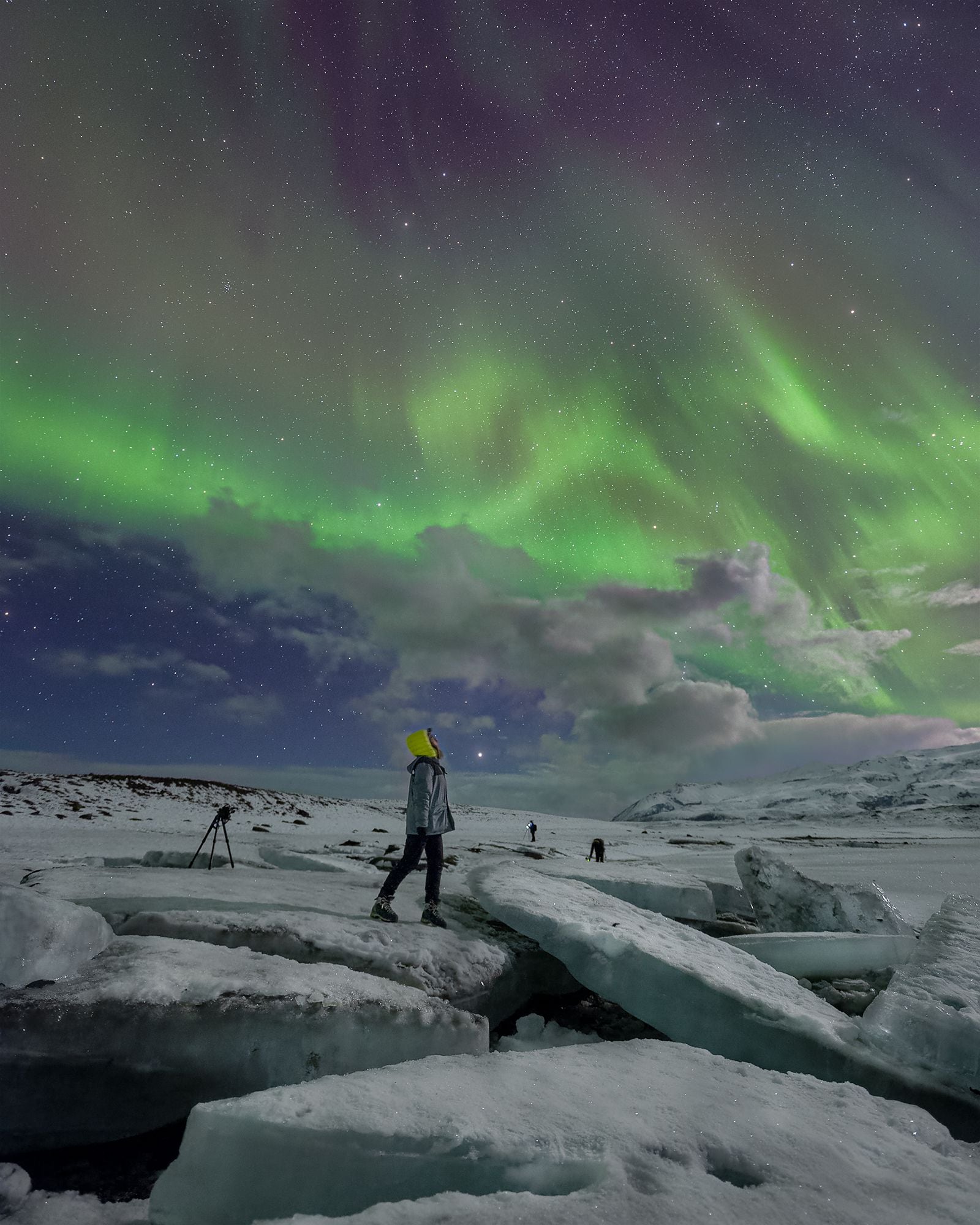 Cari Letelier en Fjallsarlon