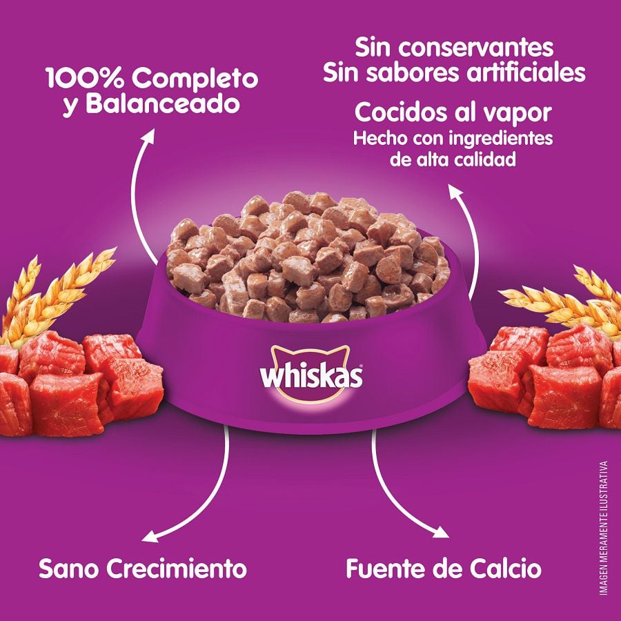 whiskas publi agosto