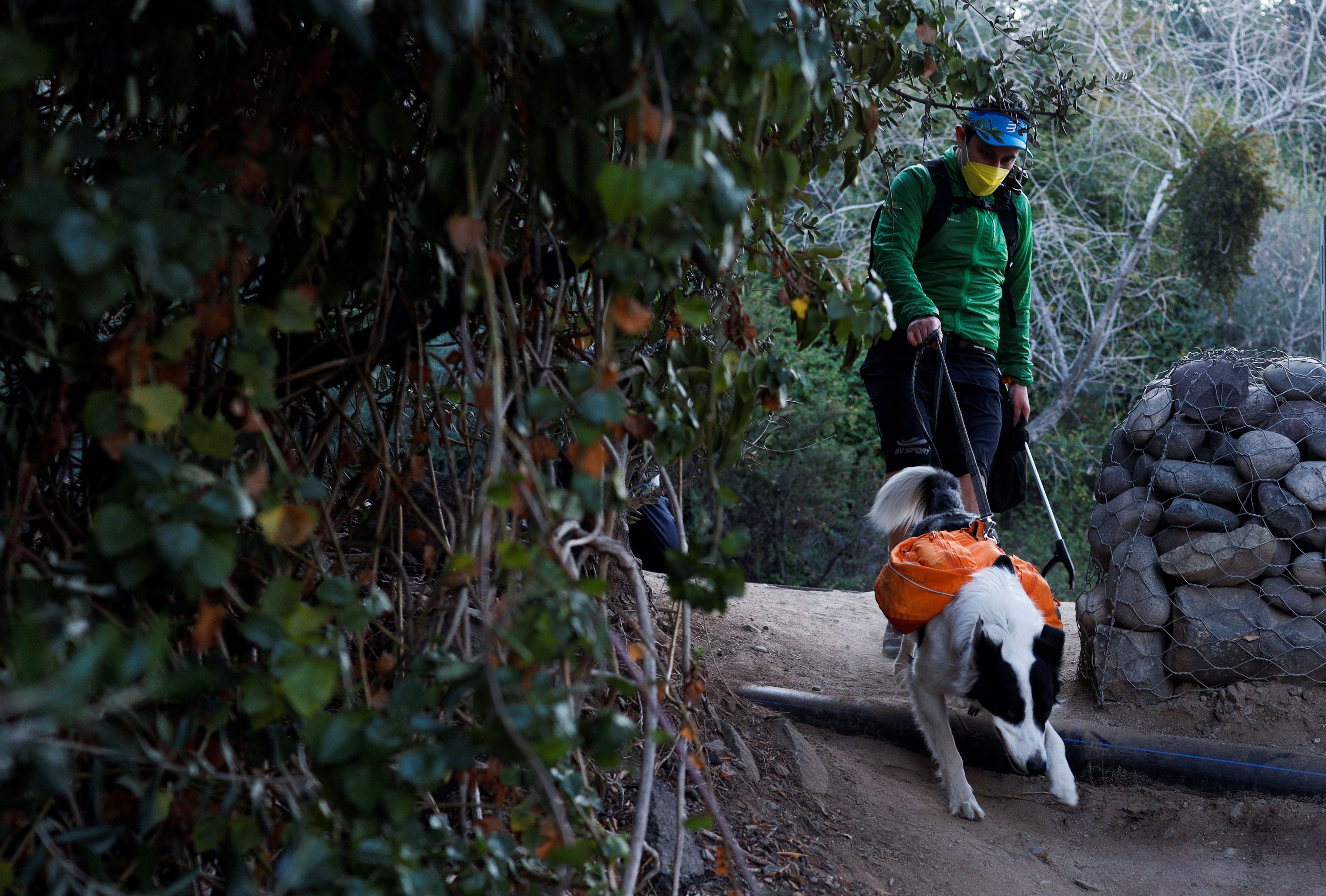 Environment activist dog is portrayed in a comic book to be used as an educational guide for visitors to a the metropolitan park, in Santiago