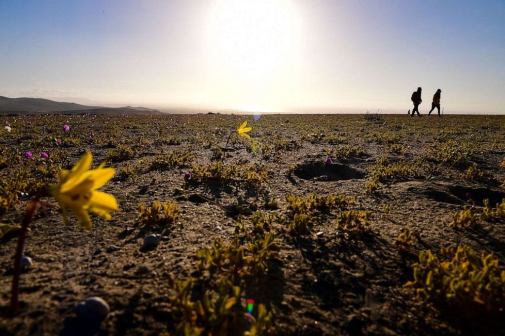 Desierto de Atacama