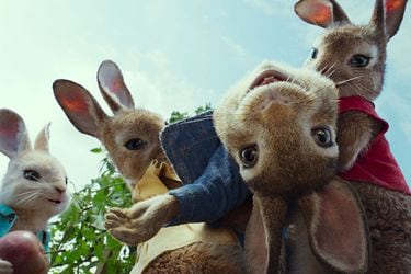 Peter Rabbit (James Corden) in Columbia Pictures' PETER RABBIT.