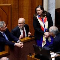 Reforma electoral: Senado aprueba veto y Elizalde aboga por reformar a futuro sufragio de extranjeros