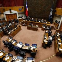 Ministerio de Seguridad Pública: Senado aprueba informe  y proyecto pasa a comisión mixta