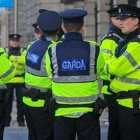 Miles de manifestantes protestan en Irlanda por la liberación de un militar que dio una paliza a una mujer