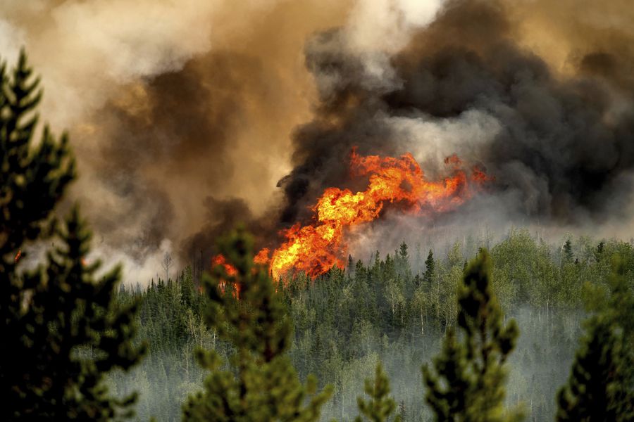 Incendios forestales en Canadá rompen récords de área consumida y