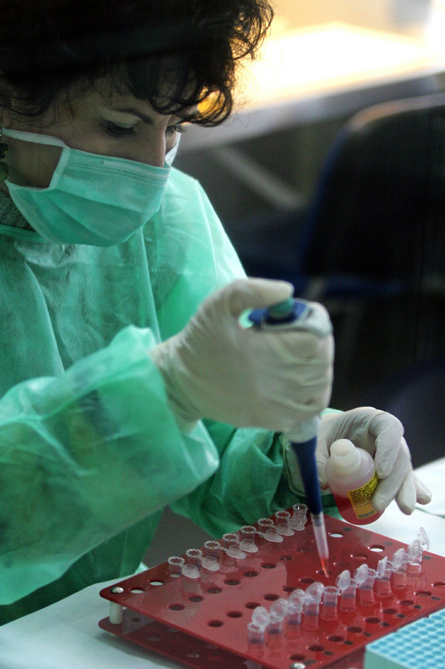 -PHOTO TAKEN 17APR06- A veterinary worker checks blood samples from chickens at a farm in Calarasi, ..