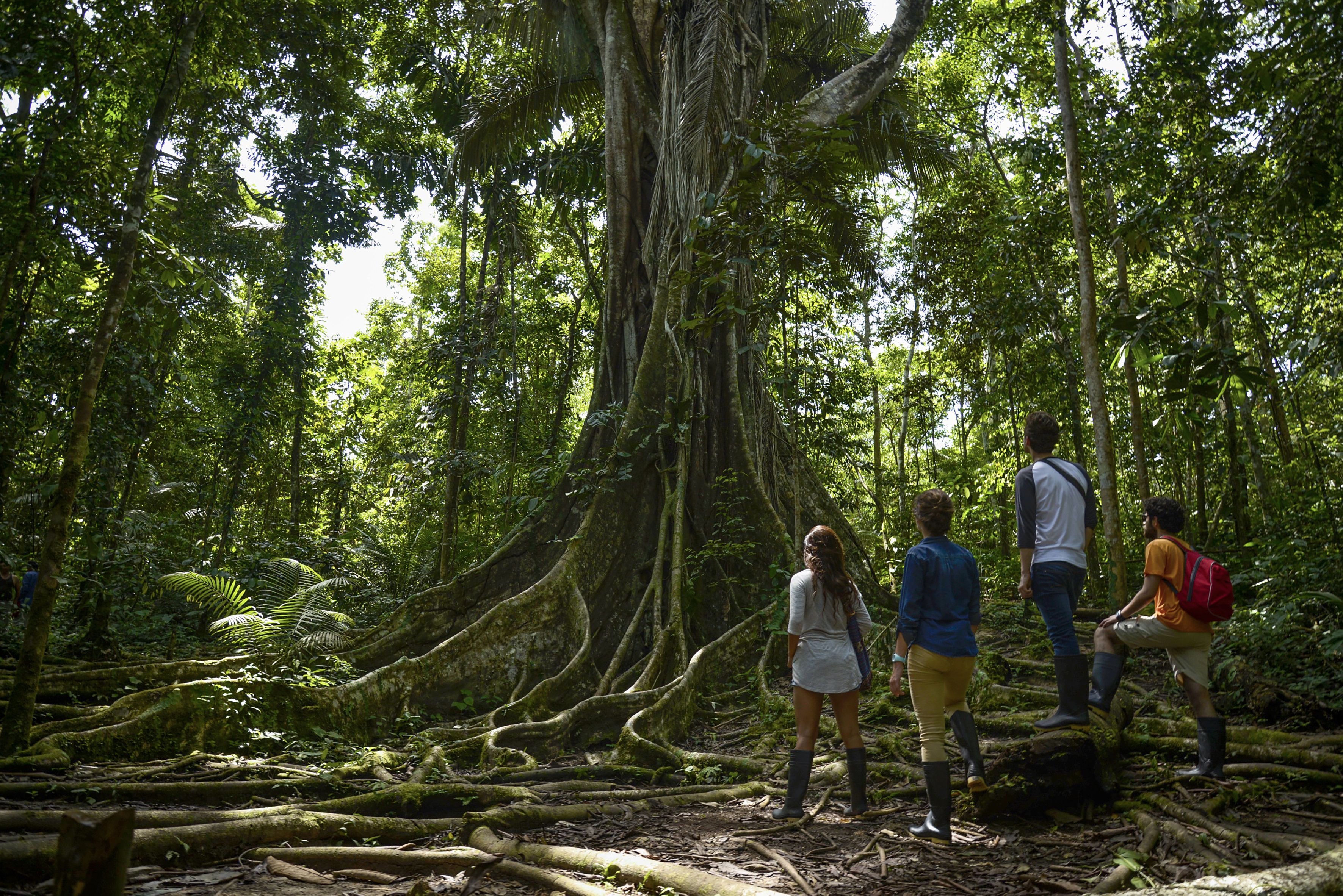 TEMAS PROMPERÚ - regiones de Loreto y Madre de Dios