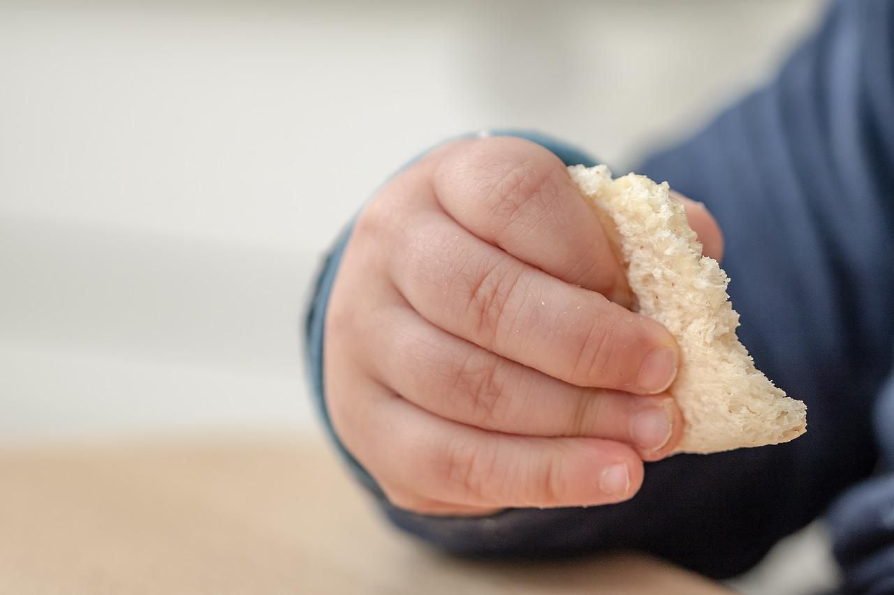 ¿Cómo hacer que su hijo desayune antes de ir al colegio? ¿Está bien comer las sobras de la cena?