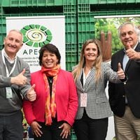 Exportación de uva chilena: Senadores por Atacama buscan resolver trabas mediante aprobación de protocolo