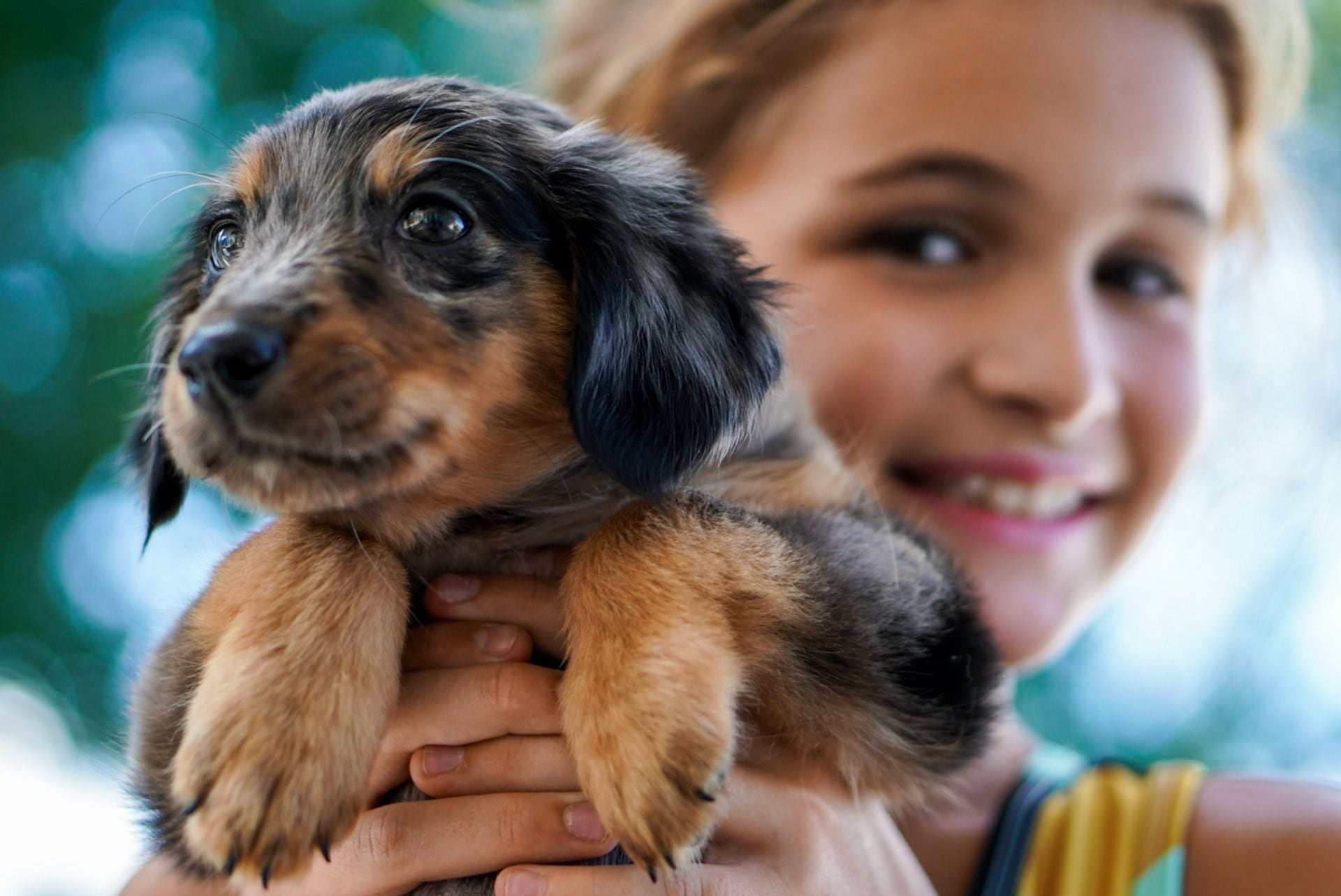 Mascotas niños perro niña