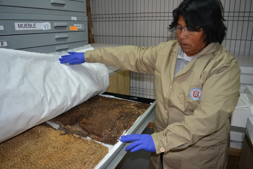 Instituto de Investigaciones Arqueológicas y Museo (IIAM)