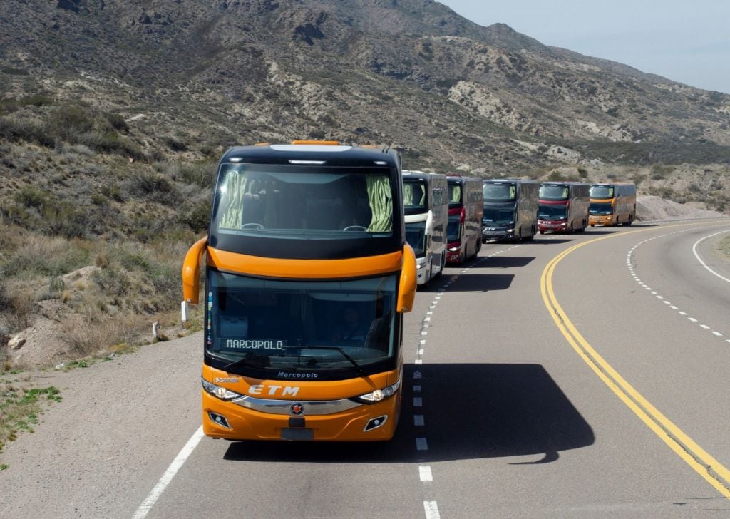 Buses y camiones