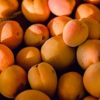 Segundos a nivel mundial: exportaciones de carozos chilenos cerraron la temporada con récord histórico