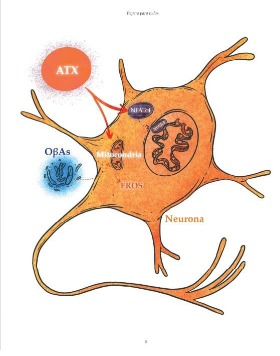 neurona revista paper para todos