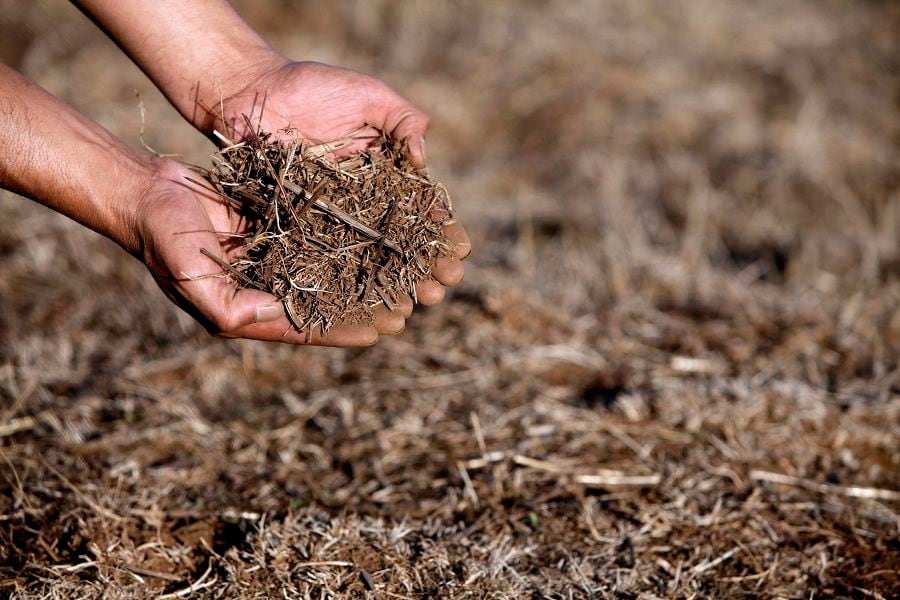 CAÑETE:  Sequia en la provincia del Bio Bio