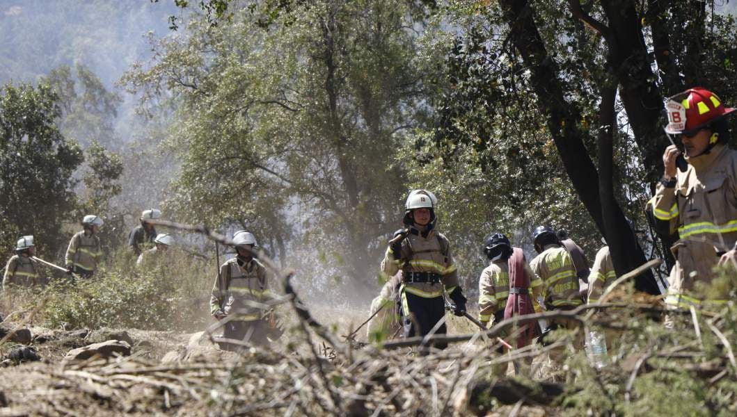 Incendio forestal