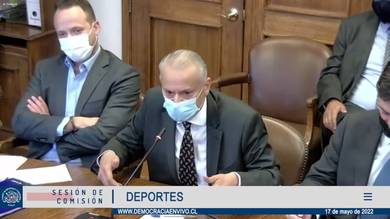 Castrili, en su comparecencia ante la Comisión de Deportes de la Cámara de Diputados.