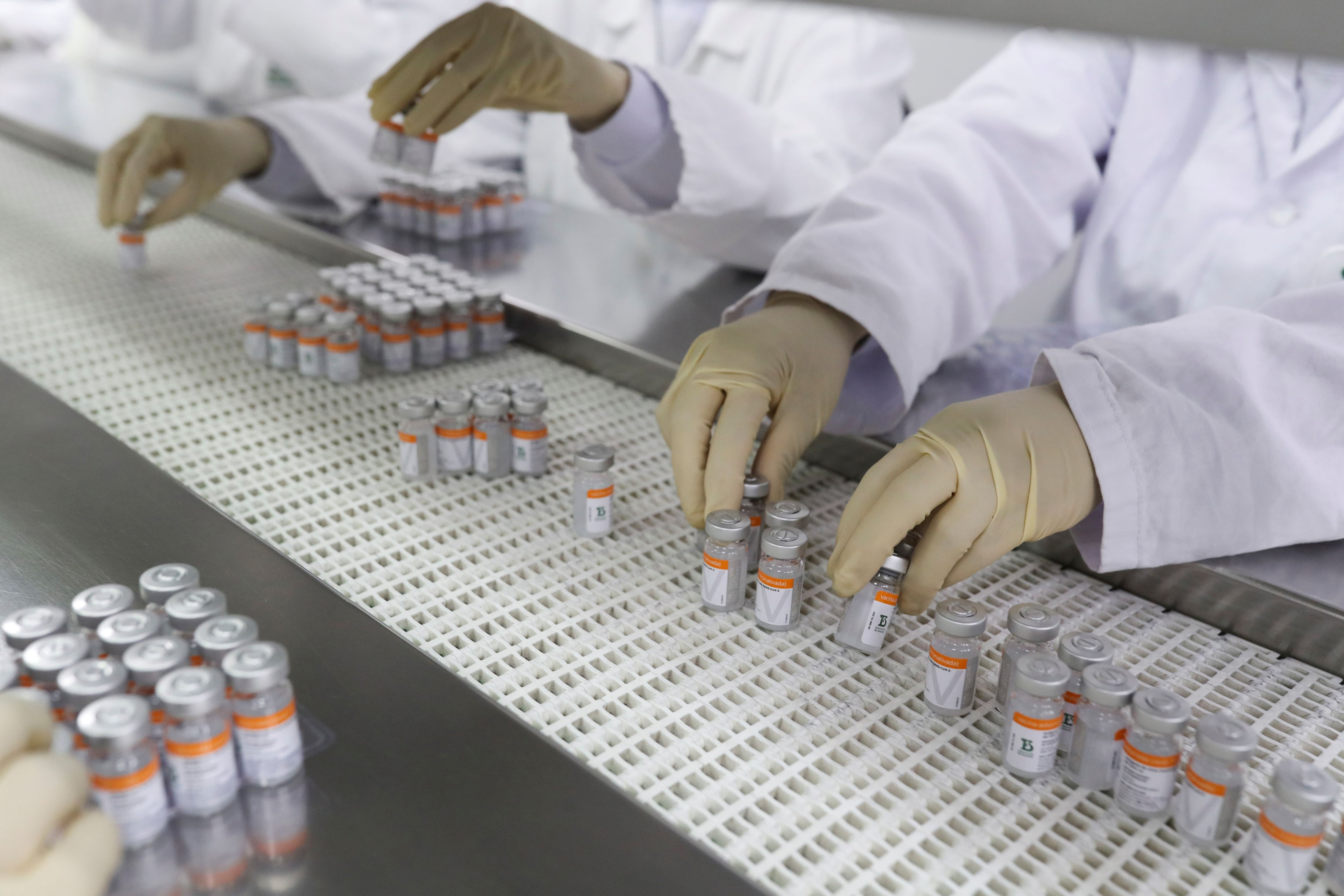 FILE PHOTO: Workers place Sinovac COVID-19 vaccine vials in trays at Butantan biomedical production center