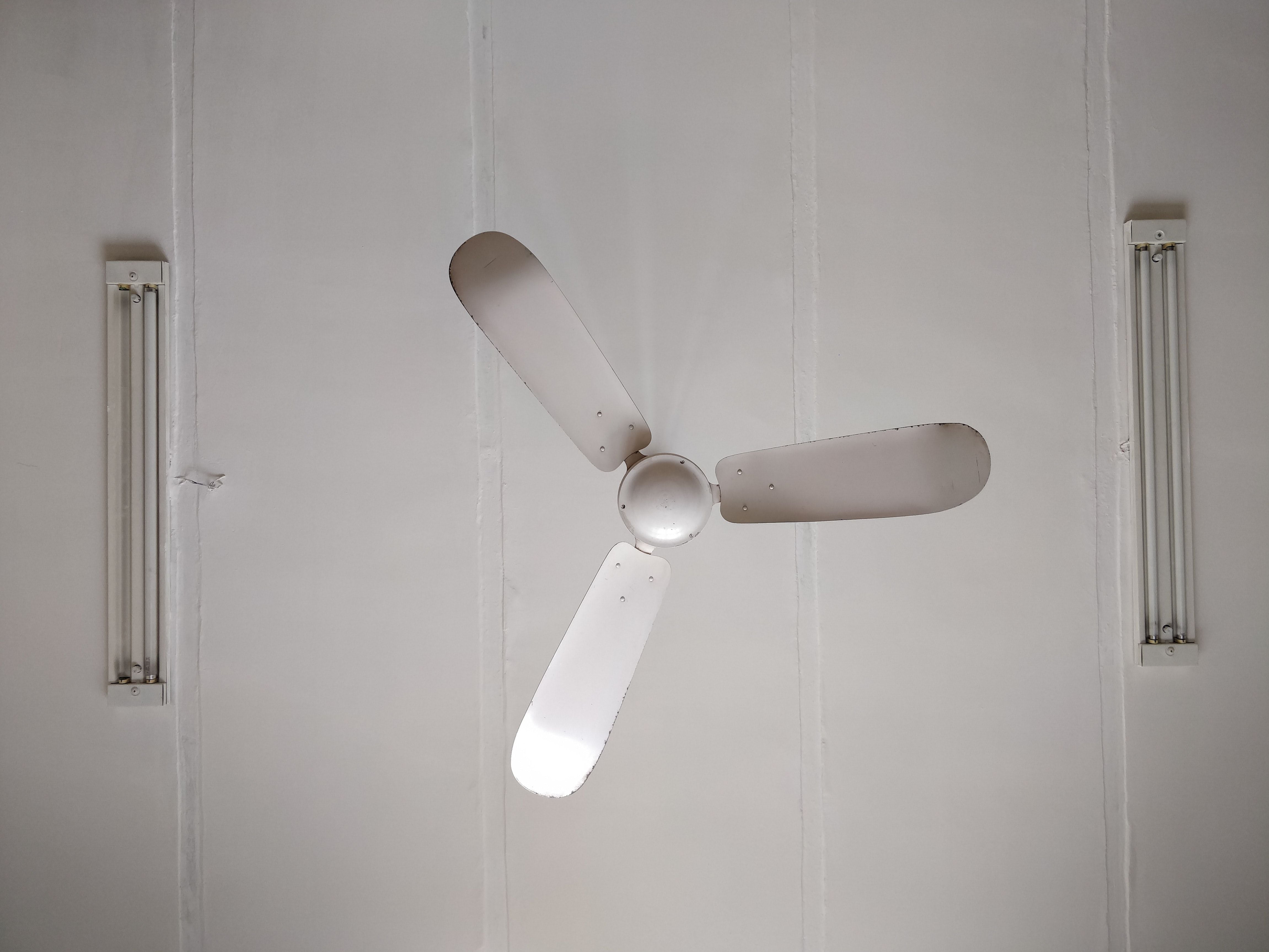 ventilador