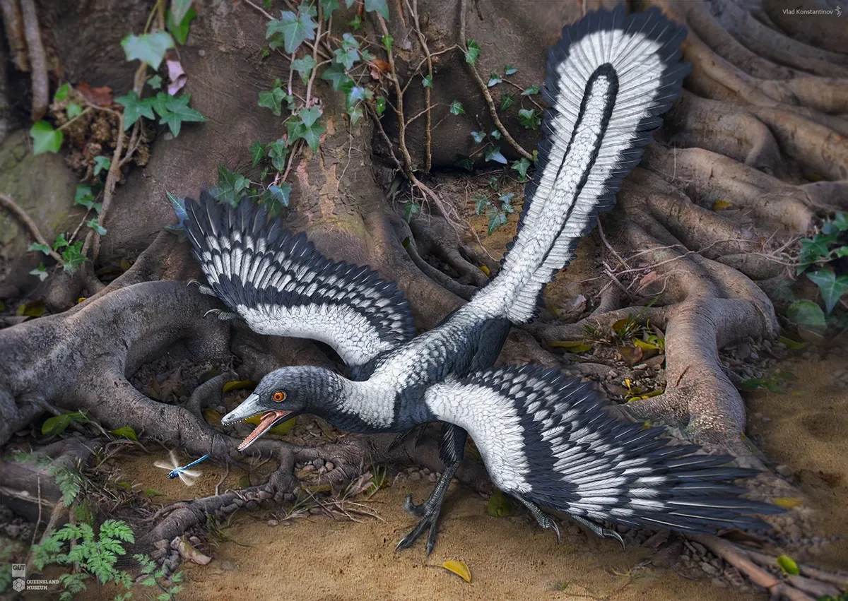 Archaeopteryx