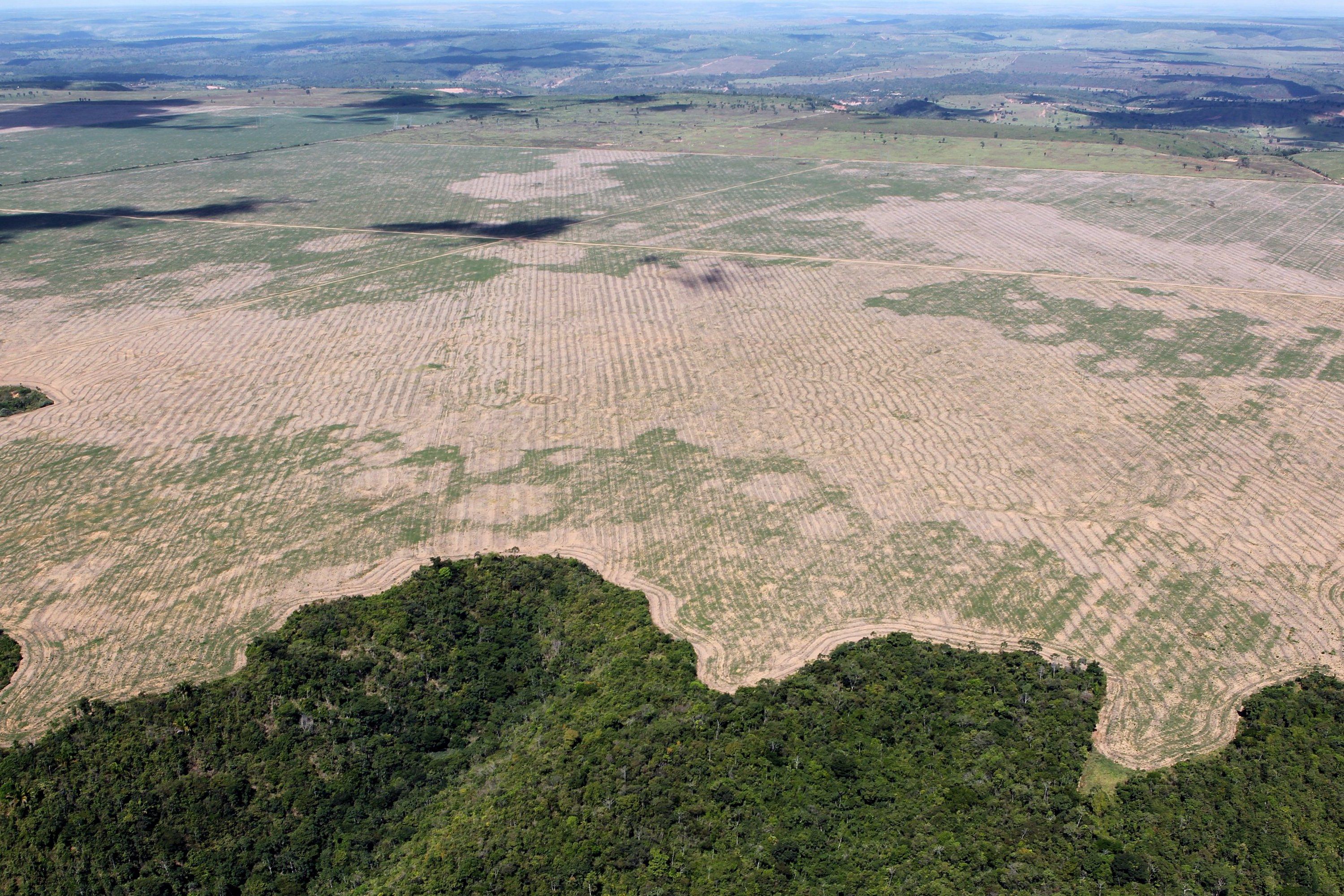 Amazonas