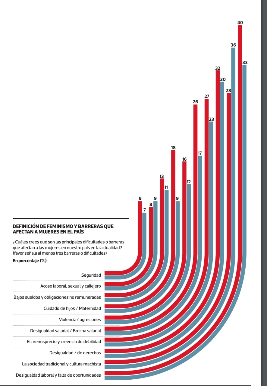 Grafico feminismo 4