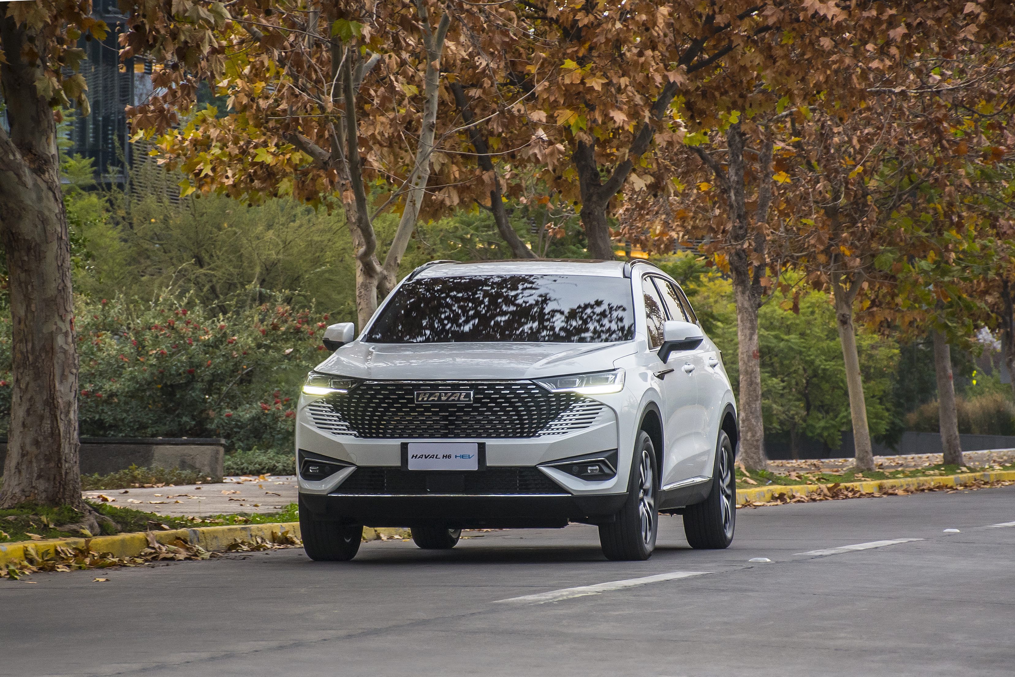 Haval H6 híbrido