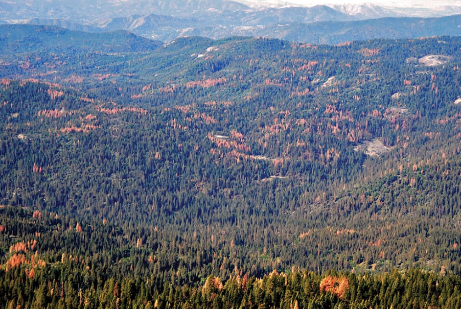 Lago Tahoe