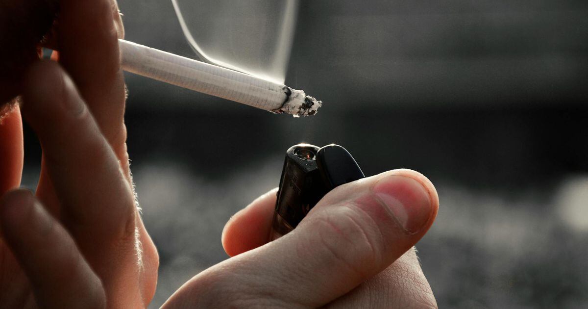 Los 3 mejores papeles de fumar del 2024