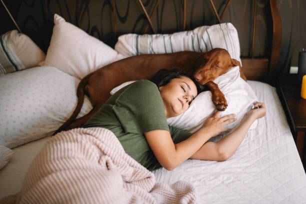 Mitos, verdades y consejos sobre dormir con las mascotas