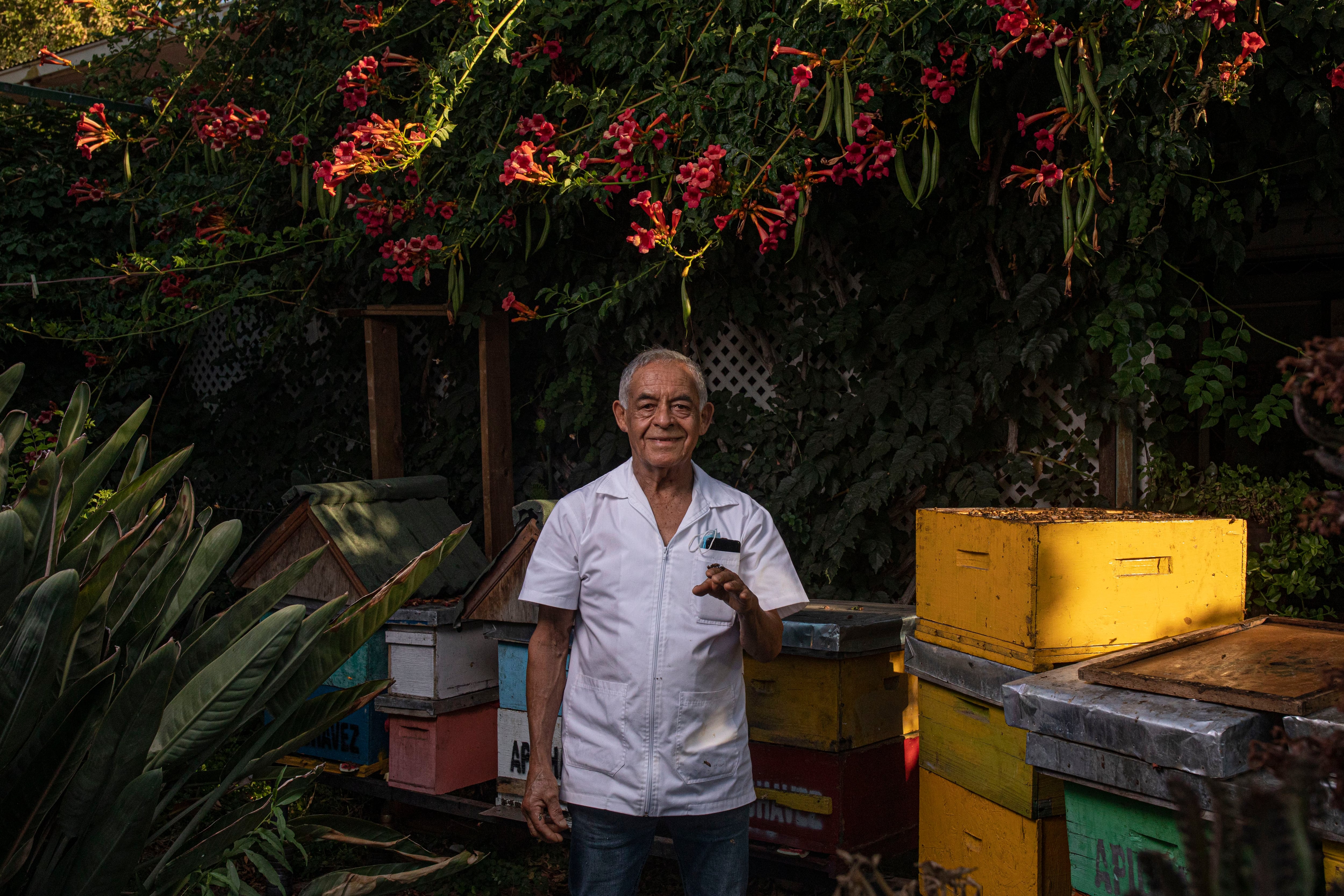 Hernán Chávez, Apichavez