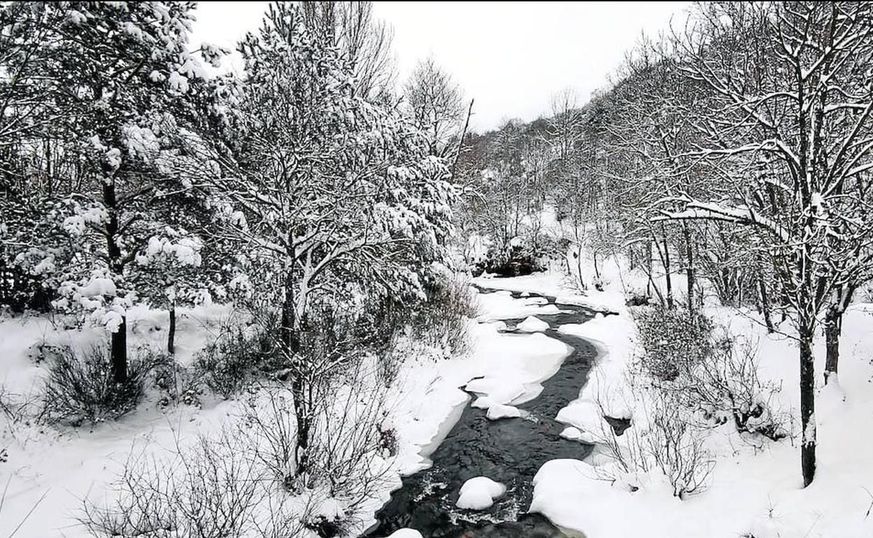 Sierra de Cebollera