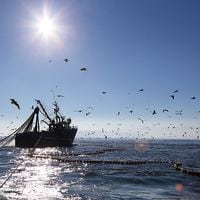 Ley de Pesca: la dura crítica del gobierno tras detectarse “copy paste” de diputados de oposición a propuestas del gremio empresarial