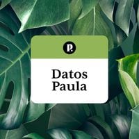 Tres Datos Paula para cuidar las plantas esta temporada