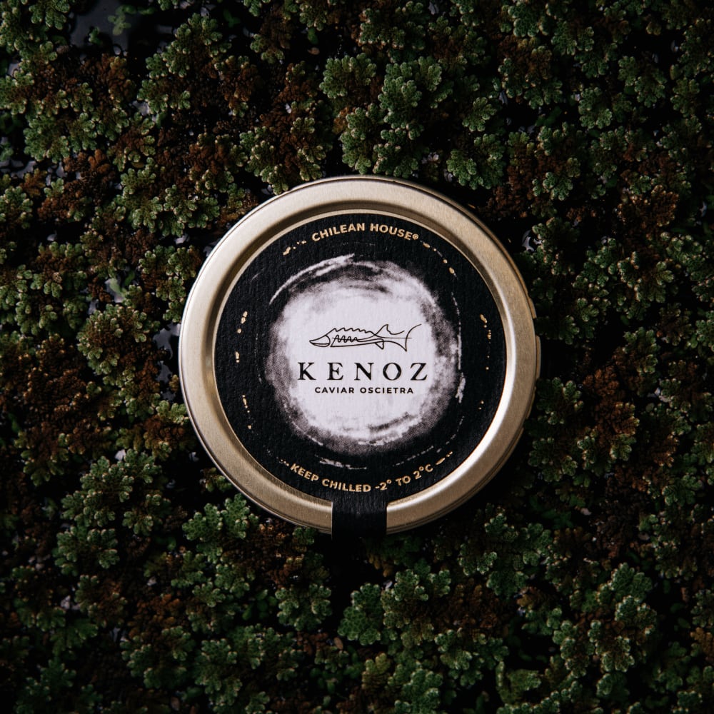 Caviar Kenoz