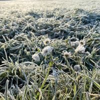 Frío despertar en la zona centro: pronostican heladas en seis regiones para este domingo