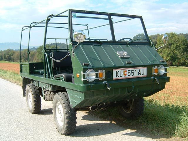 Haflinger1967.jpg