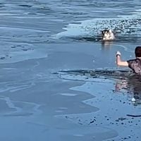 No le importó el agua congelada y se lanzó al rescate de un perro