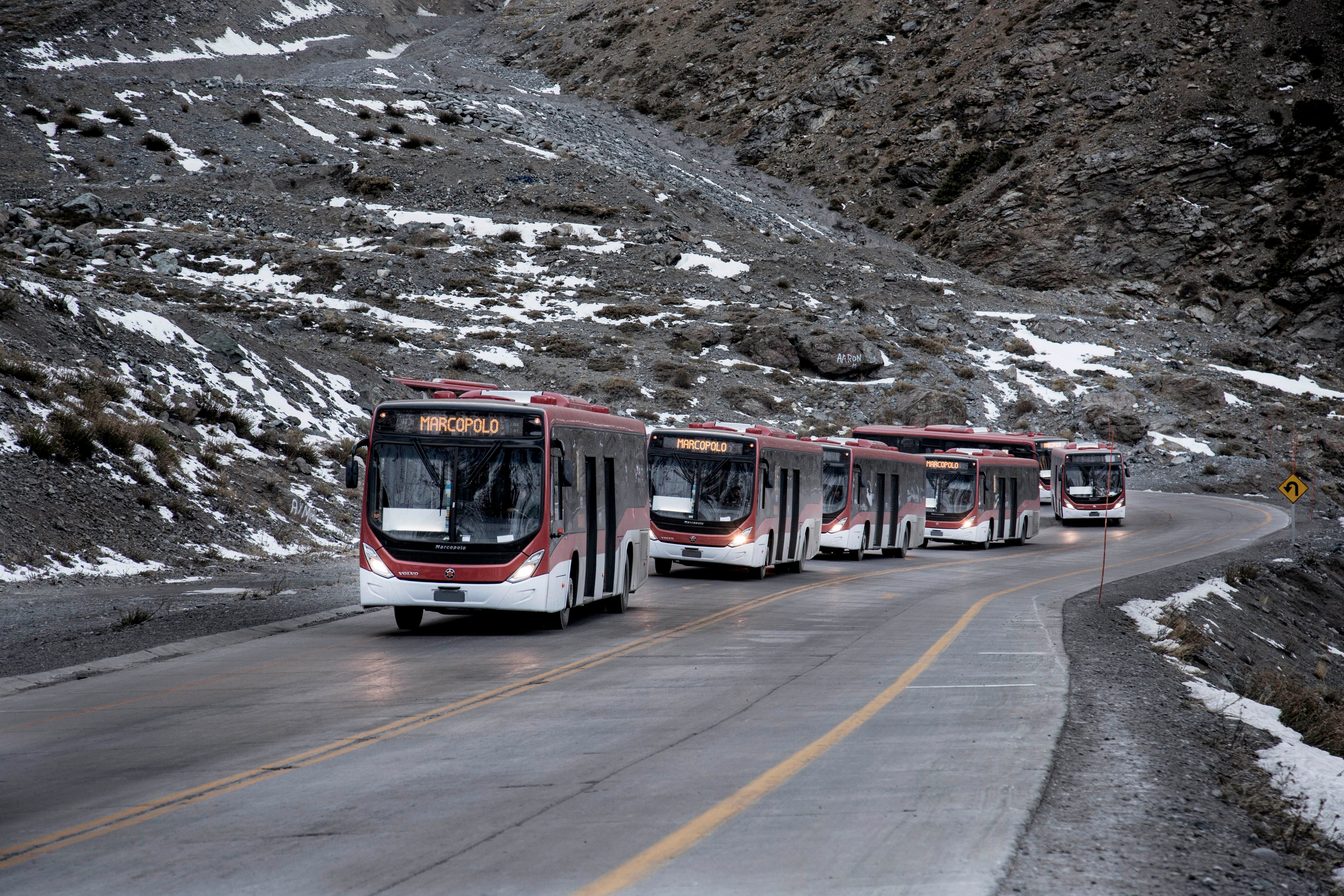 Buses y camiones